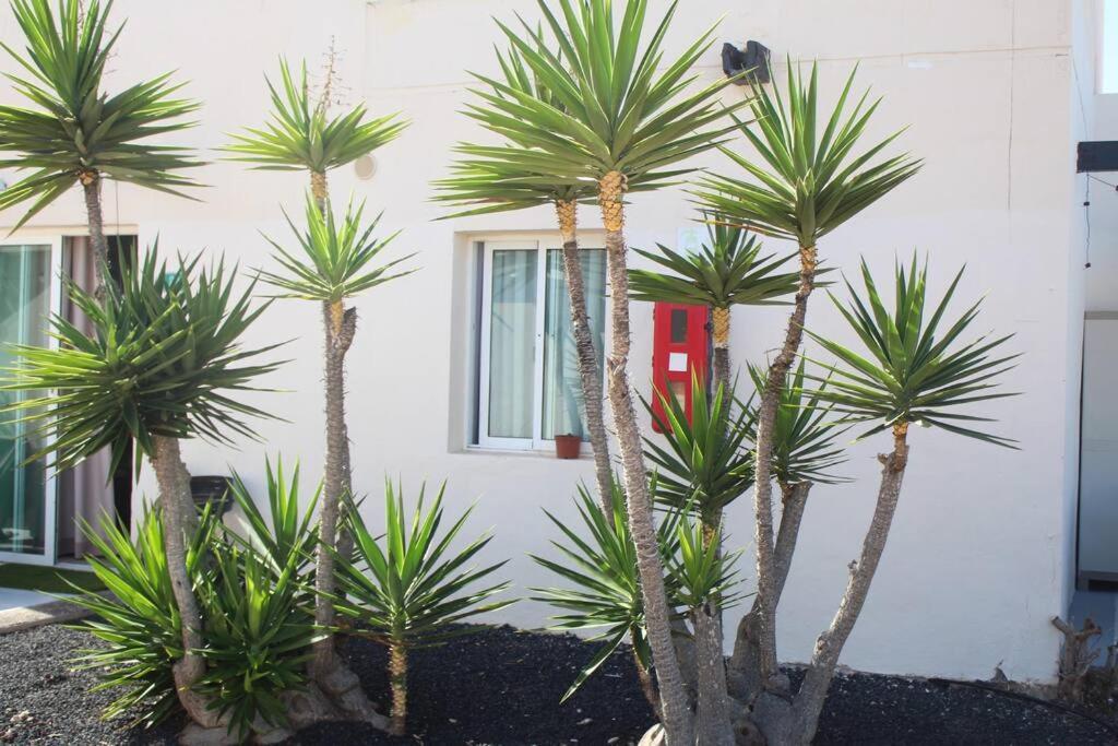 Pachi Beach Alisios Playa Corralejo Buitenkant foto